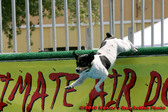 Enlarge photo 135