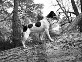 Enlarge photo 122