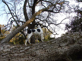 Enlarge photo 126
