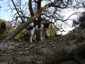 Enlarge photo 125