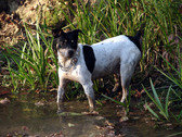 Enlarge photo 130