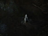 Enlarge photo 132
