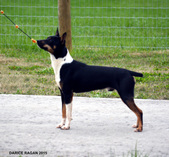 Enlarge photo 12