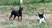 Enlarge photo 107