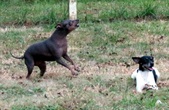 Enlarge photo 106