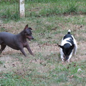 Enlarge photo 109
