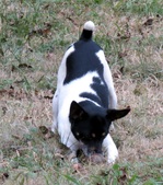 Enlarge photo 108