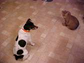 Enlarge photo 160