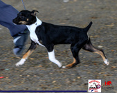 Enlarge photo 16