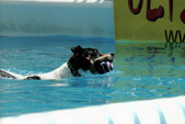 Enlarge photo 137