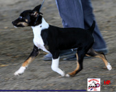 Enlarge photo 49