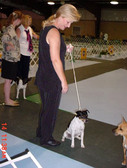 Enlarge photo 157