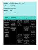 Enlarge PDF 101