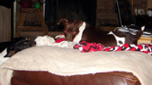 Enlarge photo 19