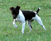 Enlarge photo 16