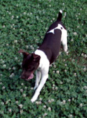Enlarge photo 13