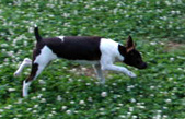 Enlarge photo 14