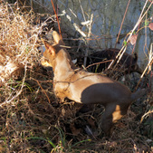 Enlarge photo 19