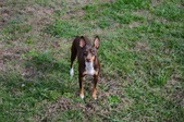 Enlarge photo 1