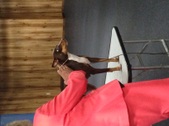 Enlarge photo 13