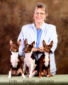 UKC CH RAGANRAT'S PINTO PRINCESS