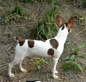 Enlarge photo 7