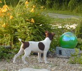 Enlarge photo 13