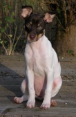 Enlarge photo 15