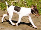 Enlarge photo 7