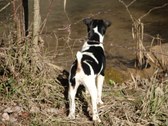 Enlarge photo 14