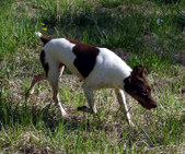 Enlarge photo 8