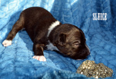 Enlarge photo 56