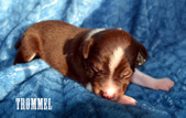 Enlarge photo 58