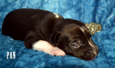 Enlarge photo 46