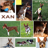 Enlarge photo 78