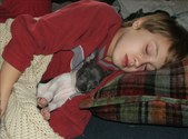 Enlarge photo 13