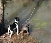 Enlarge photo 34