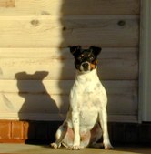 Enlarge photo 43