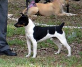 Enlarge photo 19