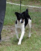 Enlarge photo 21