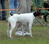 Enlarge photo 5