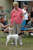 Enlarge photo 6