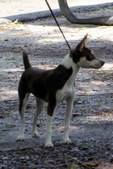 Enlarge photo 16
