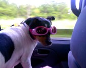 Enlarge photo 5