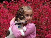 Enlarge photo 11