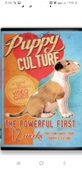Puppy culture..the only way to raise a p