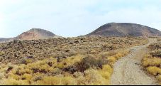 Izzy's Journal - Ridgecrest