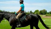 Enlarge photo 38