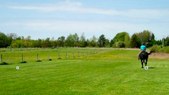 Enlarge photo 36