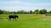 Enlarge photo 33